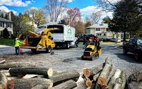 Best Utility Line Clearance  in Woodhaven, MI